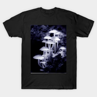 forest fungi T-Shirt